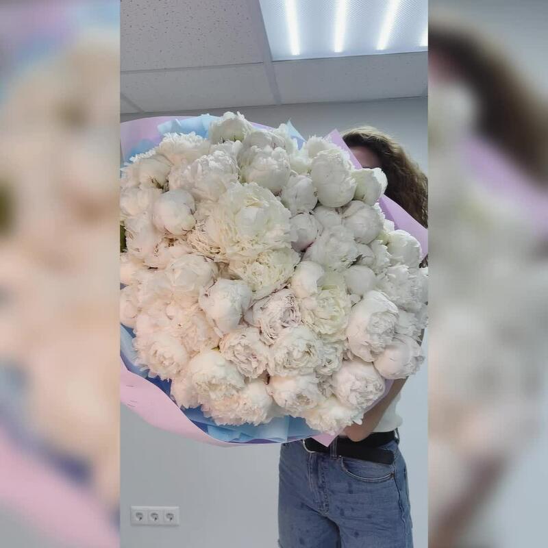 Белые пионы, 101 ароматные и крупные